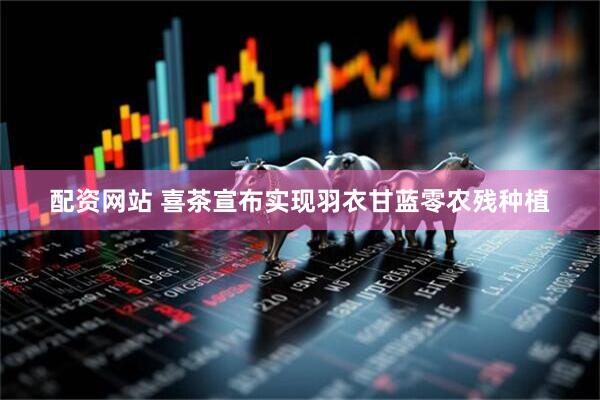 配资网站 喜茶宣布实现羽衣甘蓝零农残种植