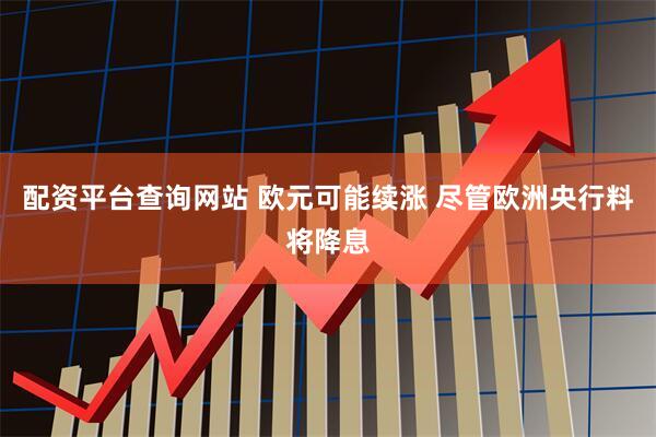配资平台查询网站 欧元可能续涨 尽管欧洲央行料将降息
