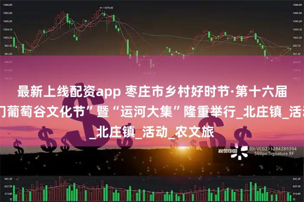最新上线配资app 枣庄市乡村好时节·第十六届“醉美洪门葡萄谷文化节”暨“运河大集”隆重举行_北庄镇_活动_农文旅
